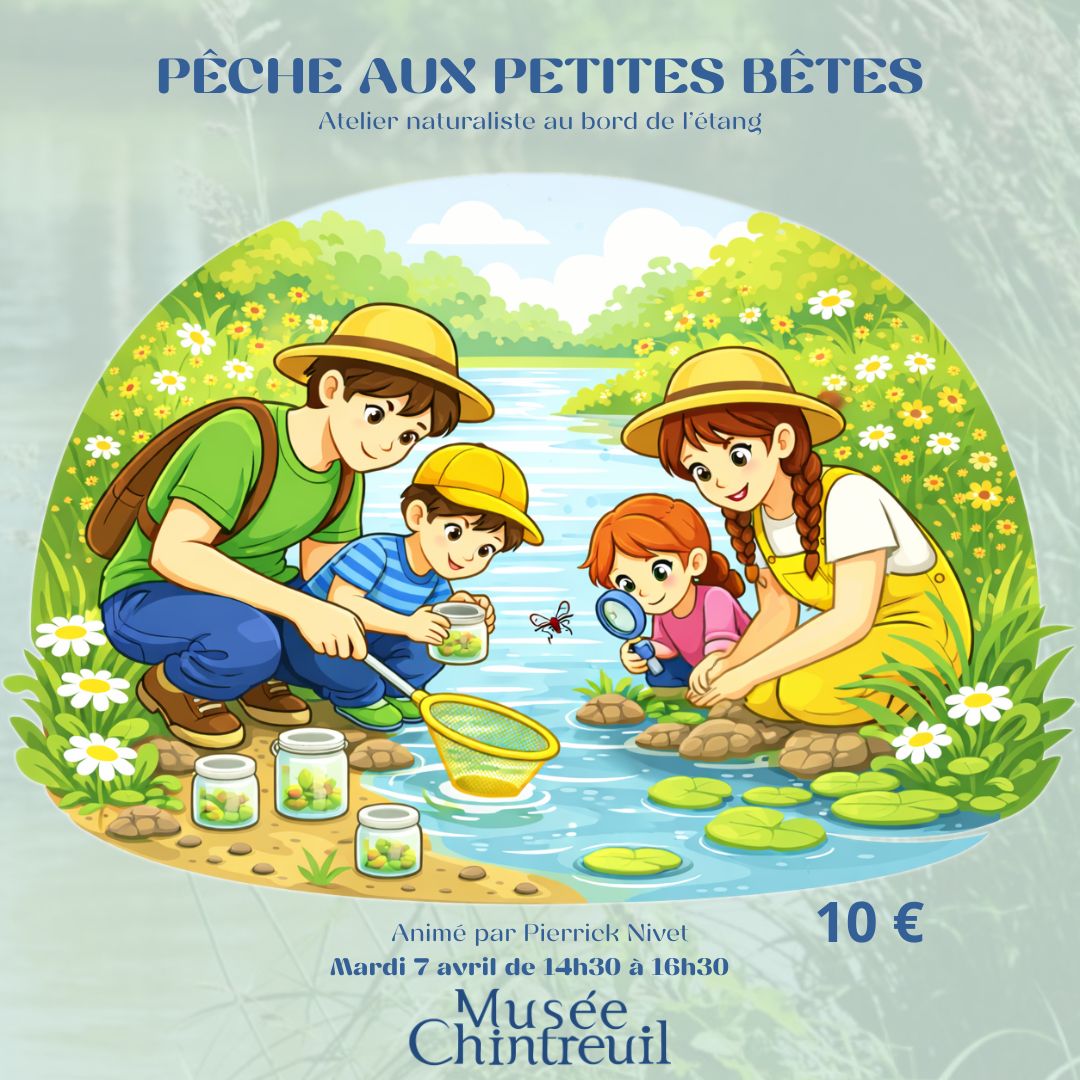 Découverte des p'tites bêtes