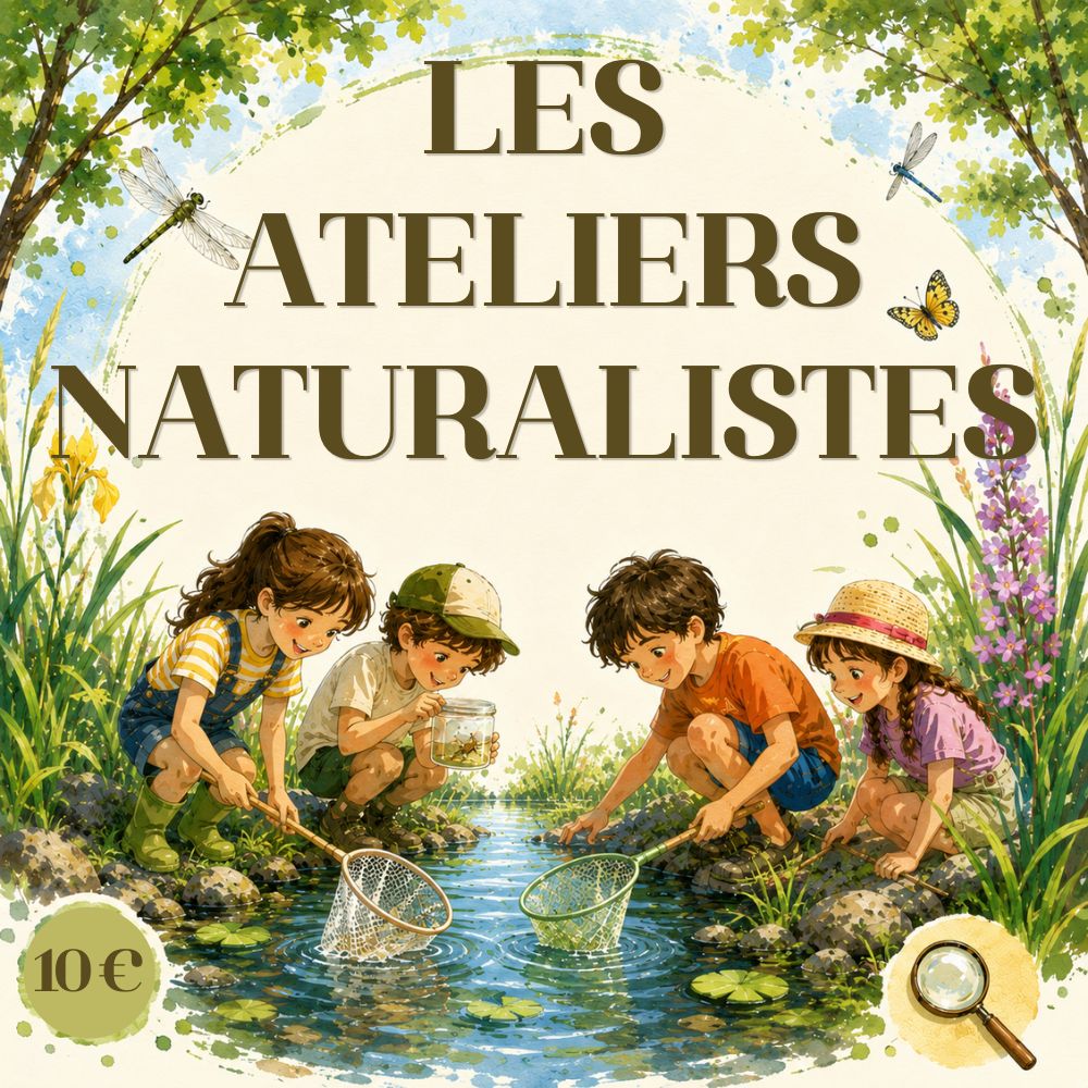 Les ateliers naturalistes